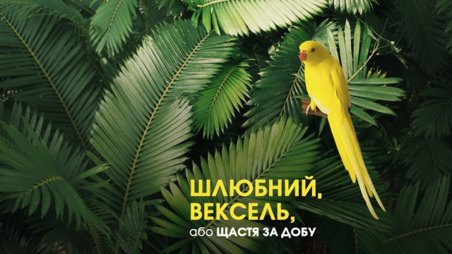 first-image-background