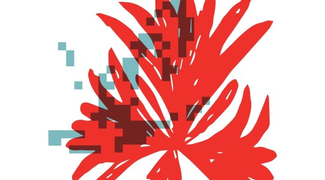 first-image-background